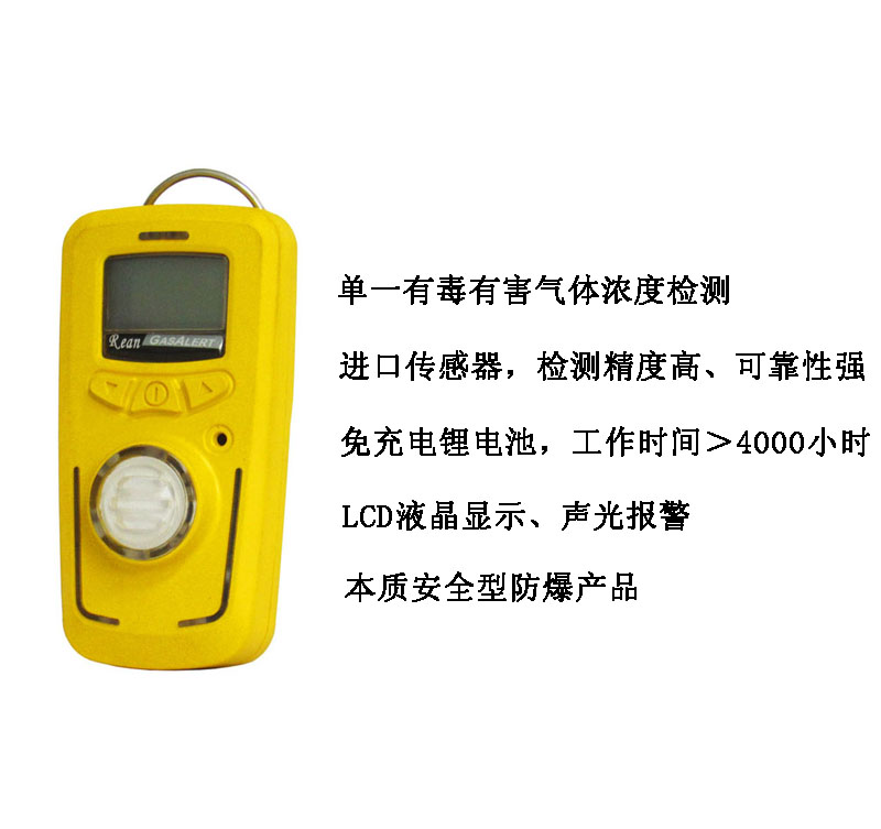 R10型单一有毒气体检测仪(图1)