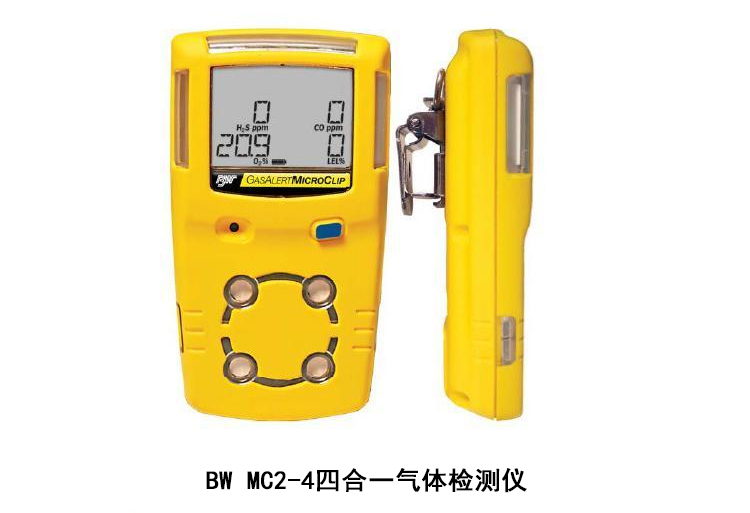 进口bw气体检测仪