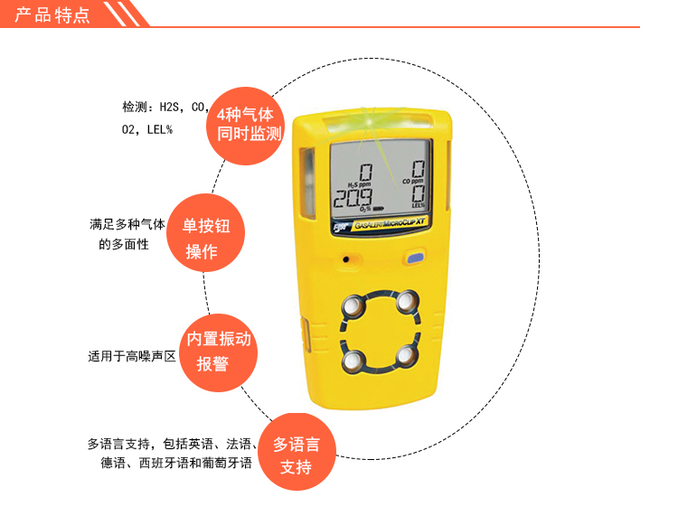 进口bw气体检测仪