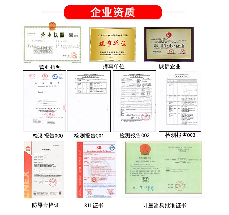 进口bw气体检测仪